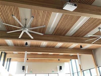 Radium Community Centre Ceiling IMG_3698
