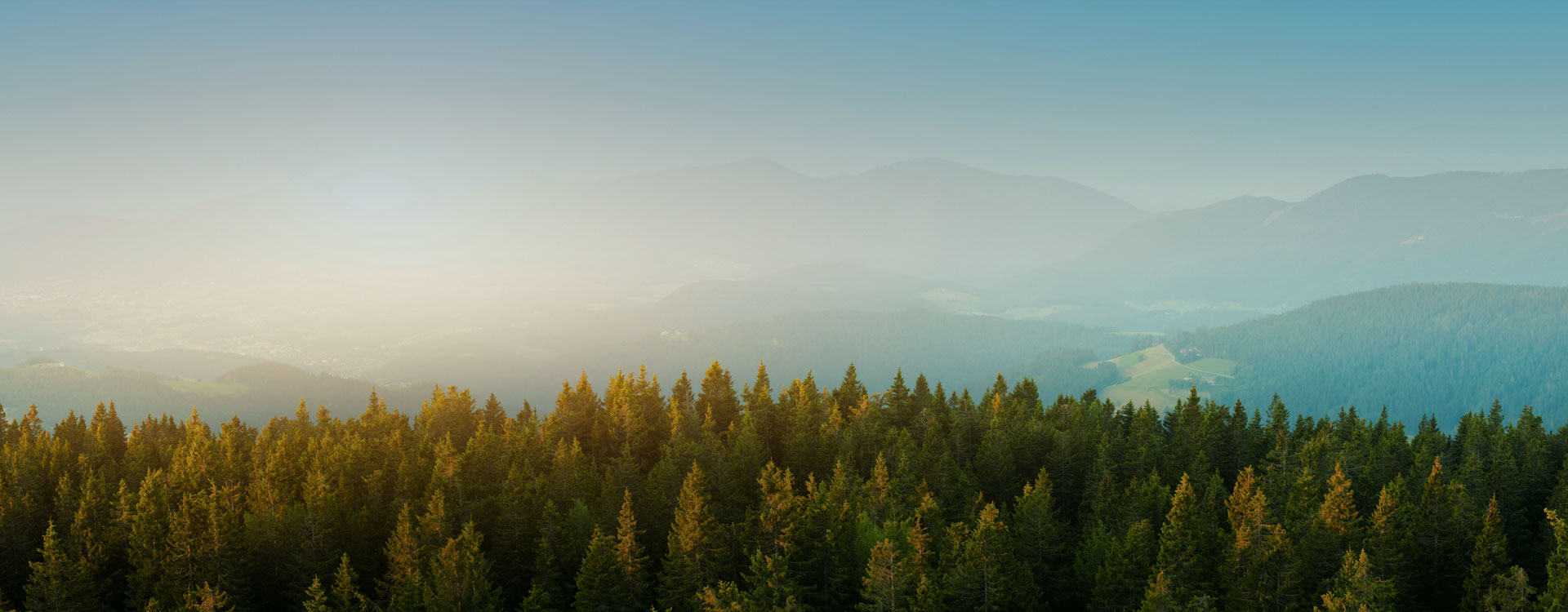 main_banner