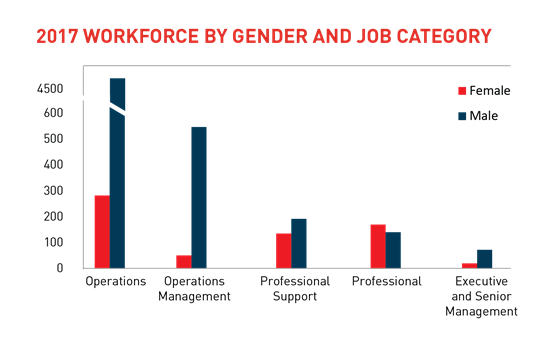 Work Force By Gender Job Category-01 Work Force By Gender Job Category-01