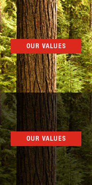 Our Values