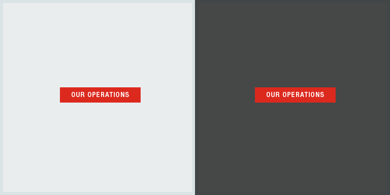 Our Company